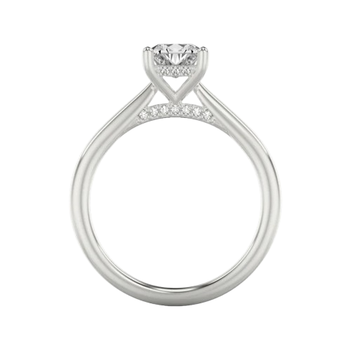 Hidden Halo Ring