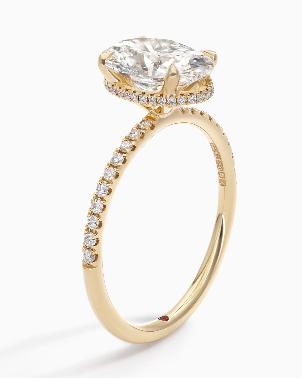 Hidden Halo Ring