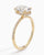 Hidden Halo Ring